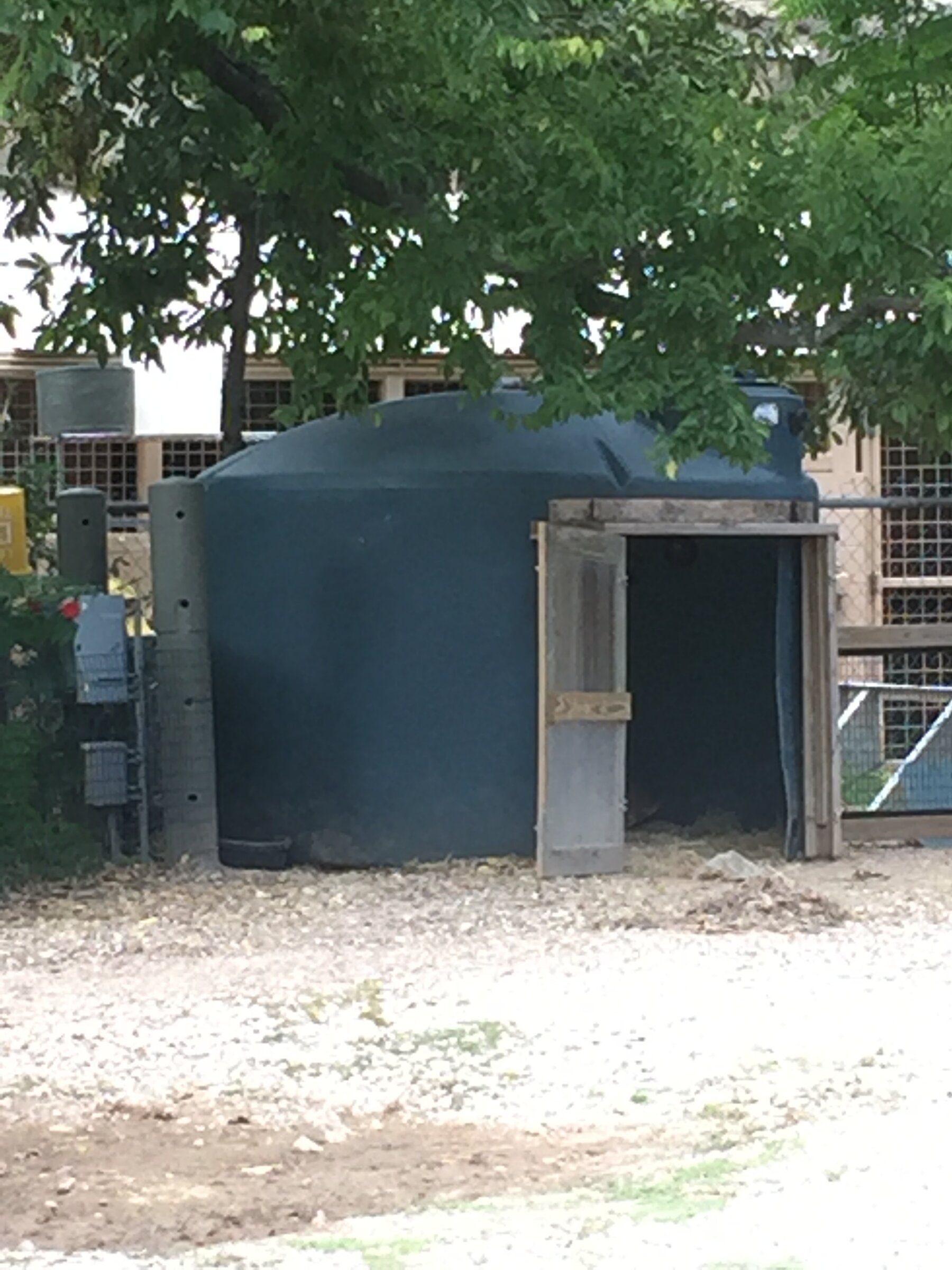 Houston Zoo turtle habitat — custom tank-built hut